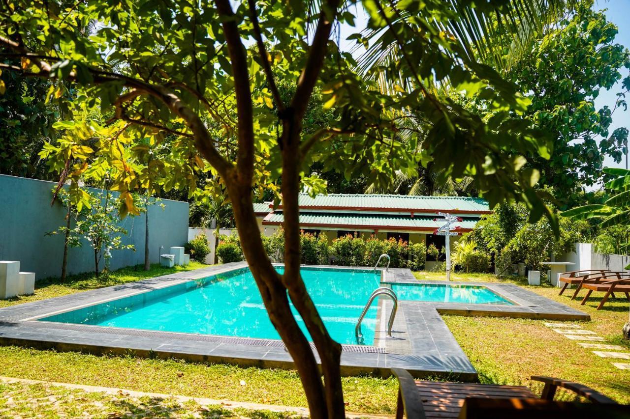 Sigiri Sierra View Resort Sigiriya Exteriör bild