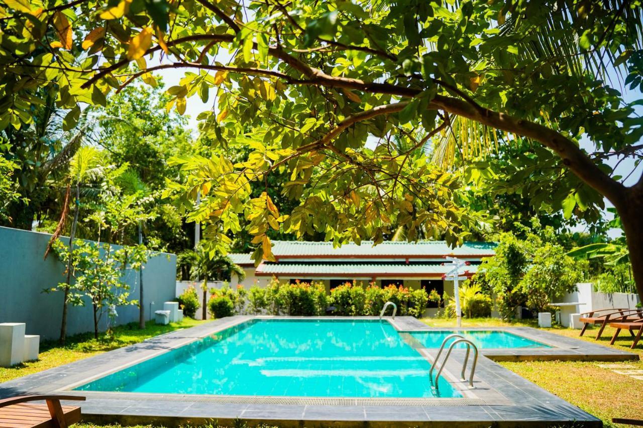 Sigiri Sierra View Resort Sigiriya Exteriör bild
